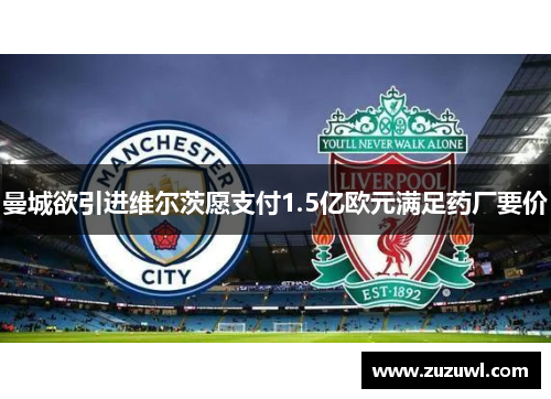曼城欲引进维尔茨愿支付1.5亿欧元满足药厂要价